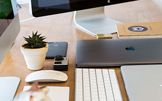 国家企业信用信息公示系统：功能、历史与使用指南