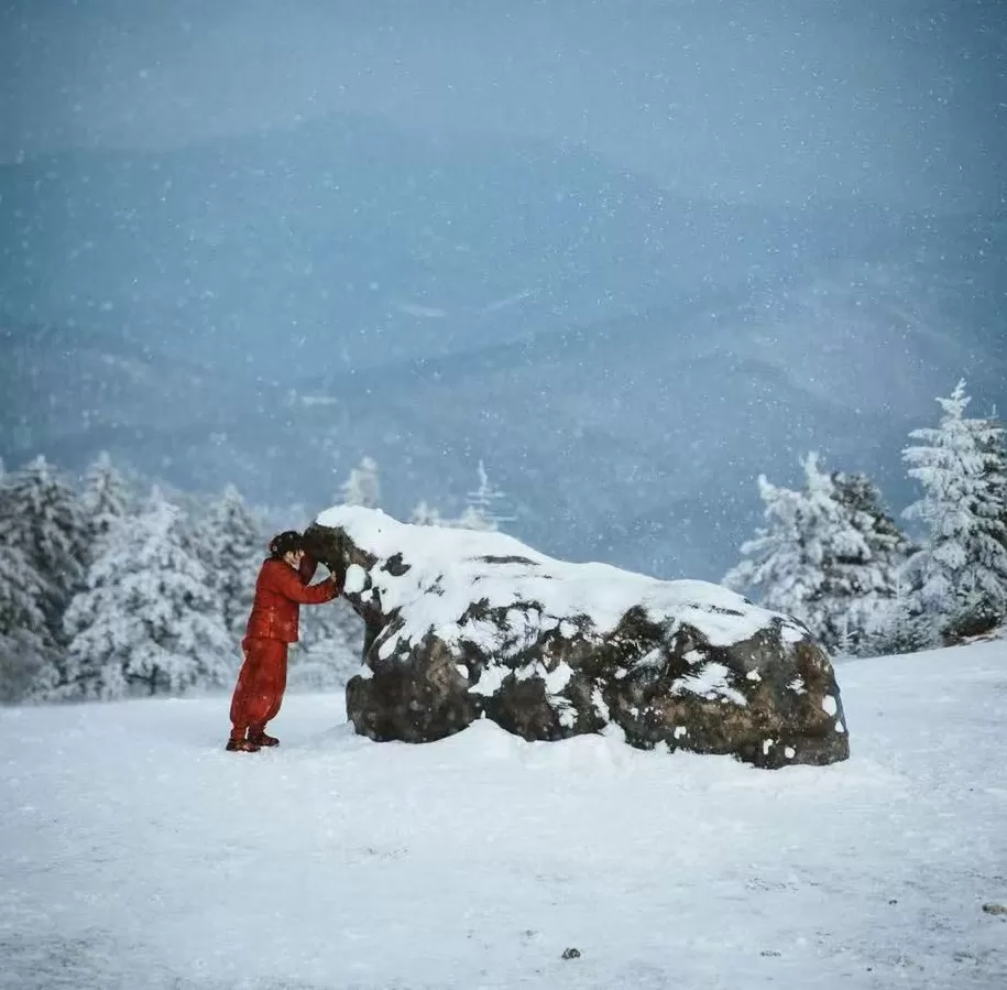 《生万物》:当土地叙事有一场“女性史诗”-第2张图片- 《生万物》:当土地叙事有一场“女性史诗”-第2张图片-