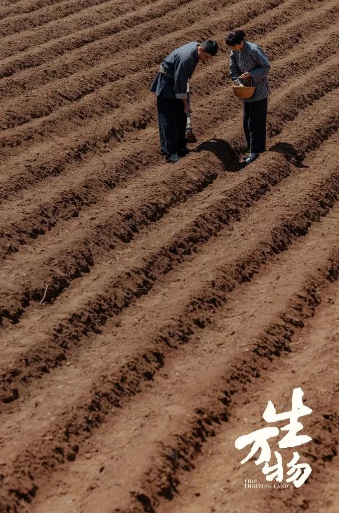 《生万物》:当土地叙事有一场“女性史诗”-第3张图片- 《生万物》:当土地叙事有一场“女性史诗”-第3张图片-