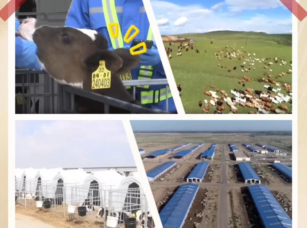 砥砺奋进七十载天山南北谱华章|新疆畜牧业的“数字”变迁!-第1张图片- 砥砺奋进七十载天山南北谱华章|新疆畜牧业的“数字”变迁!-第1张图片-