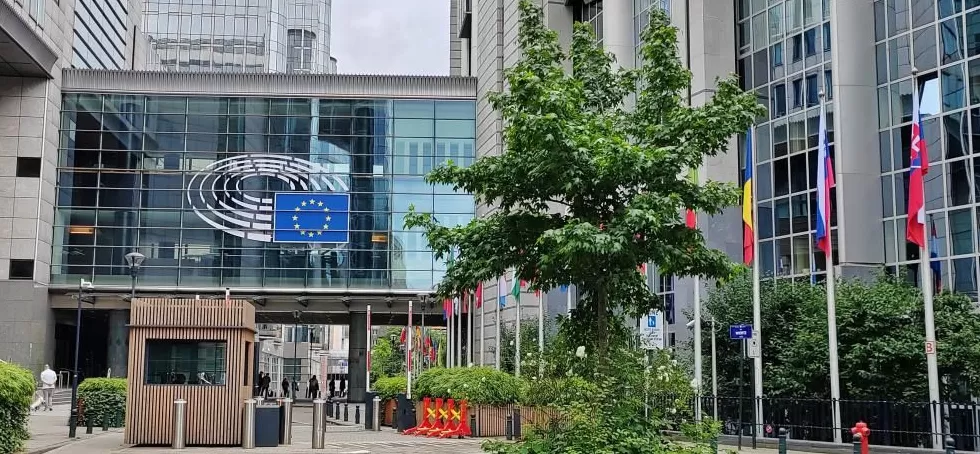 欧洲议会通过决议呼吁欧盟成员国考虑承认巴勒斯坦国-第1张图片-