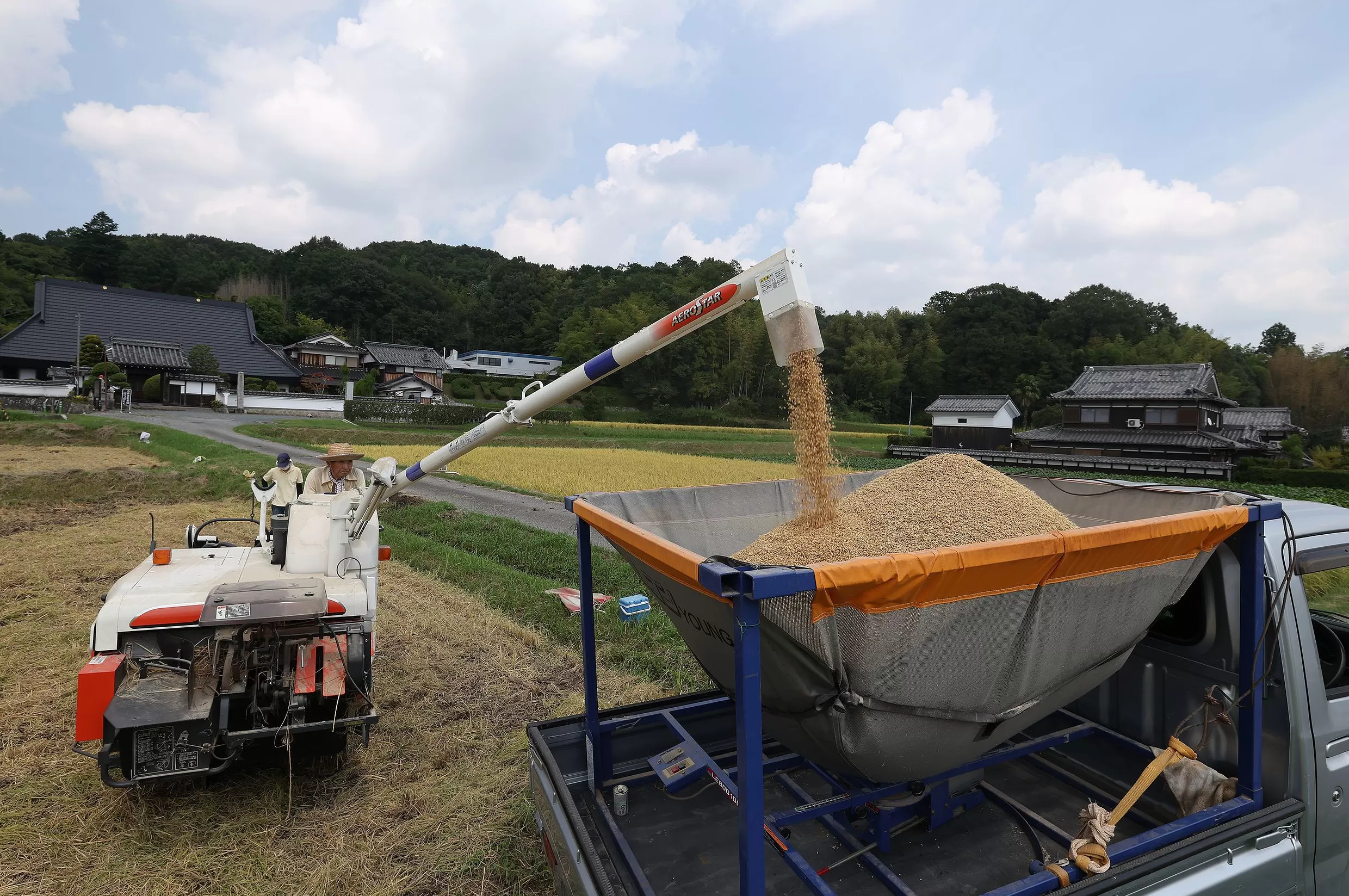 美日贸易协议开始实施，正冲击日本农协的利益-第1张图片-