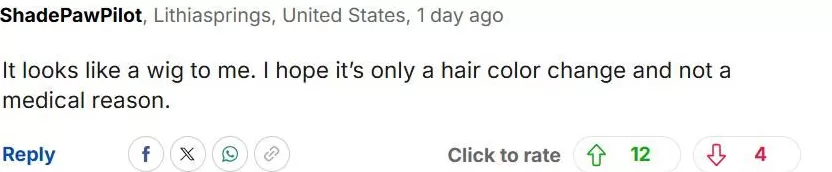 外媒曝凯特王妃戴假发遮化疗后遗症？出席活动发色频繁变化，网友：哪个头发才是真的？-第22张图片-