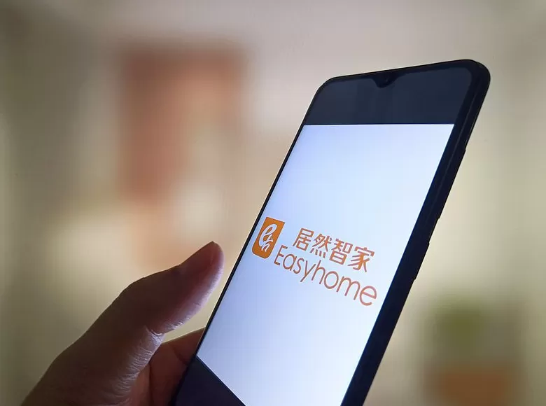 杨芳成居然智家实际控制人，系已故创始人汪林朋配偶-第1张图片-