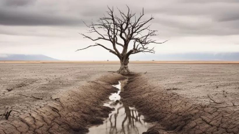 应急管理部:8月干旱灾害造成563.5万人次受灾,当前13万人因旱需生活救助-第1张图片- 应急管理部:8月干旱灾害造成563.5万人次受灾,当前13万人因旱需生活救助-第1张图片-