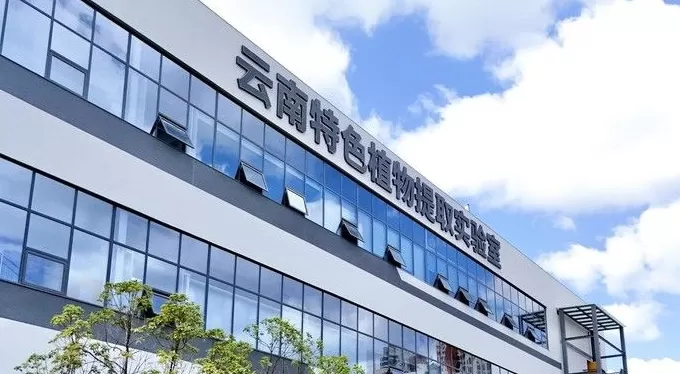 研发、渠道、出海：贝泰妮的增长逻辑重构-第5张图片-