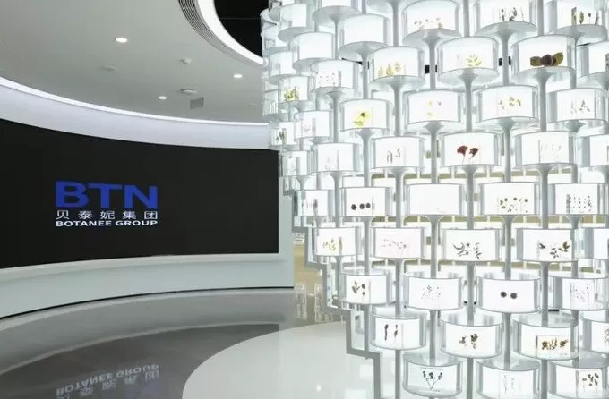 研发、渠道、出海：贝泰妮的增长逻辑重构-第6张图片-