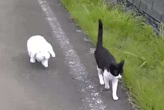 运动也能防抑郁，这几种运动最有效-第5张图片-