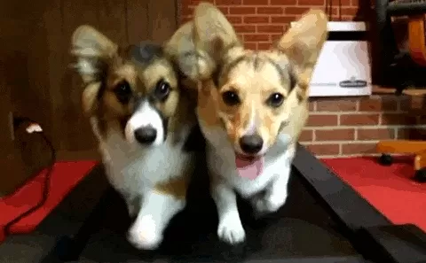 运动也能防抑郁，这几种运动最有效-第13张图片-