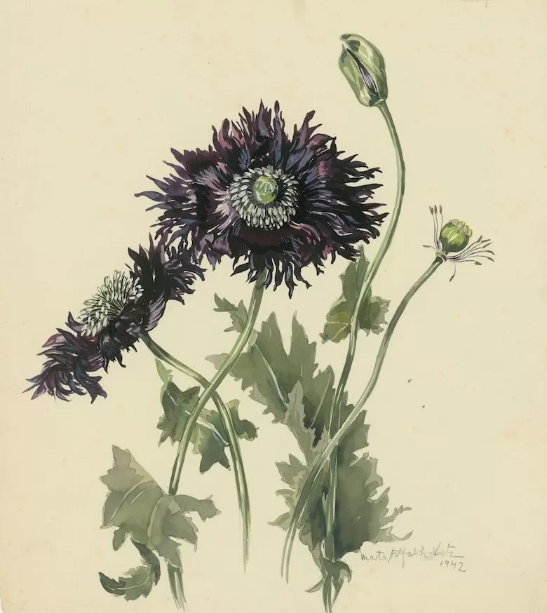 100年前她就开摄影工作室玩自拍了-第6张图片- 100年前她就开摄影工作室玩自拍了-第6张图片-