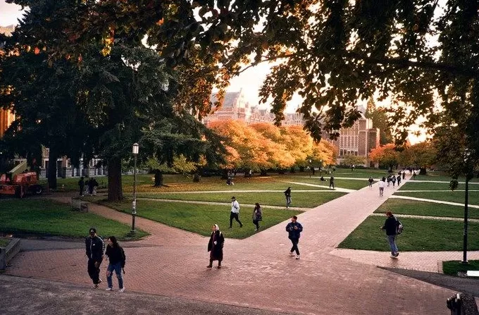 当芝加哥大学也要减少文科硕博招生|文化周报-第2张图片- 当芝加哥大学也要减少文科硕博招生|文化周报-第2张图片-