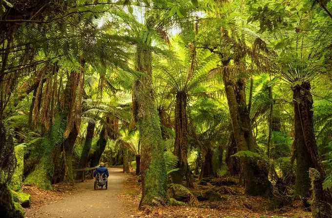 与爱同行,在澳大利亚寻找浪漫故事-第12张图片- 与爱同行,在澳大利亚寻找浪漫故事-第12张图片-