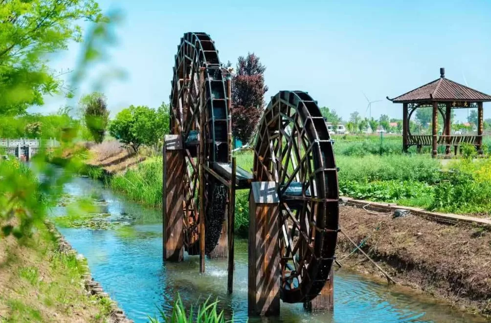 淮安金湖的“颜值”,不仅有美景也有乡愁-第1张图片- 淮安金湖的“颜值”,不仅有美景也有乡愁-第1张图片-