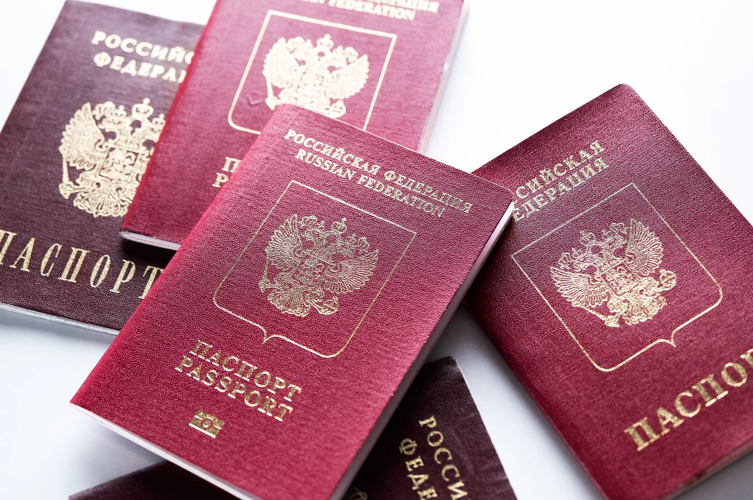 普京称将对华免签，去年赴俄中国游客同比增长2.2倍-第1张图片-