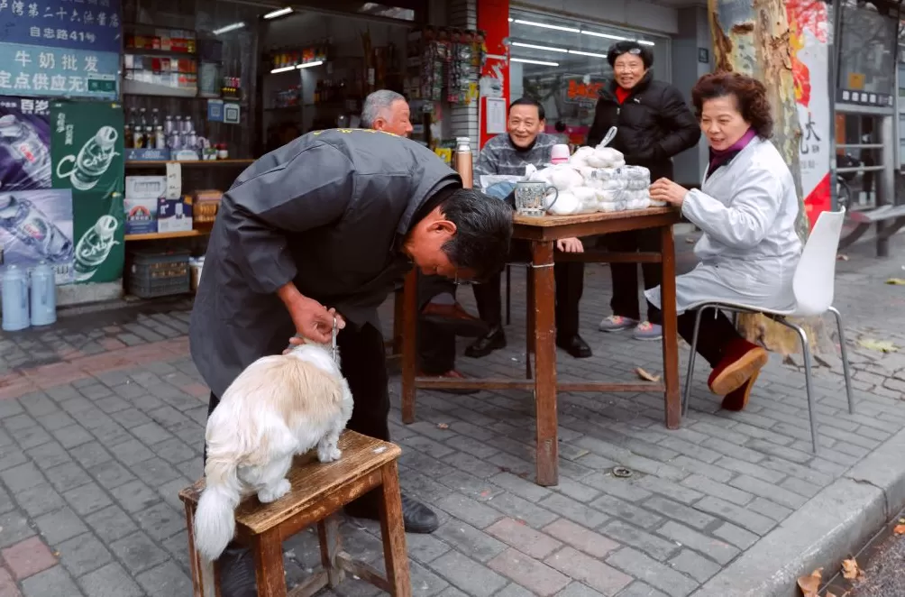 上海旅居⑤｜奥西波夫：这座城传统和现代过渡柔和，充满能量-第12张图片-