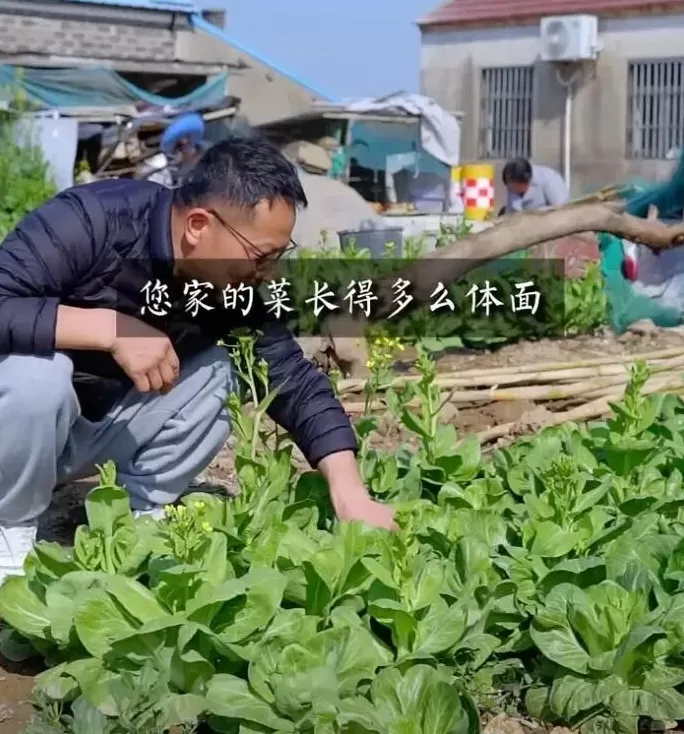 逃离城市的他，教年轻人如何算好「人情账」-第1张图片-