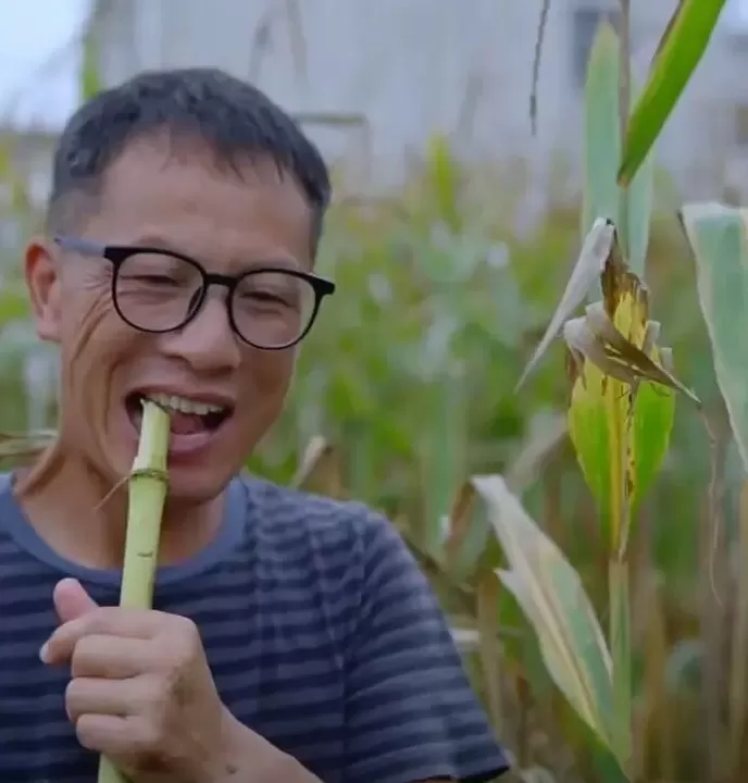 逃离城市的他，教年轻人如何算好「人情账」-第5张图片-