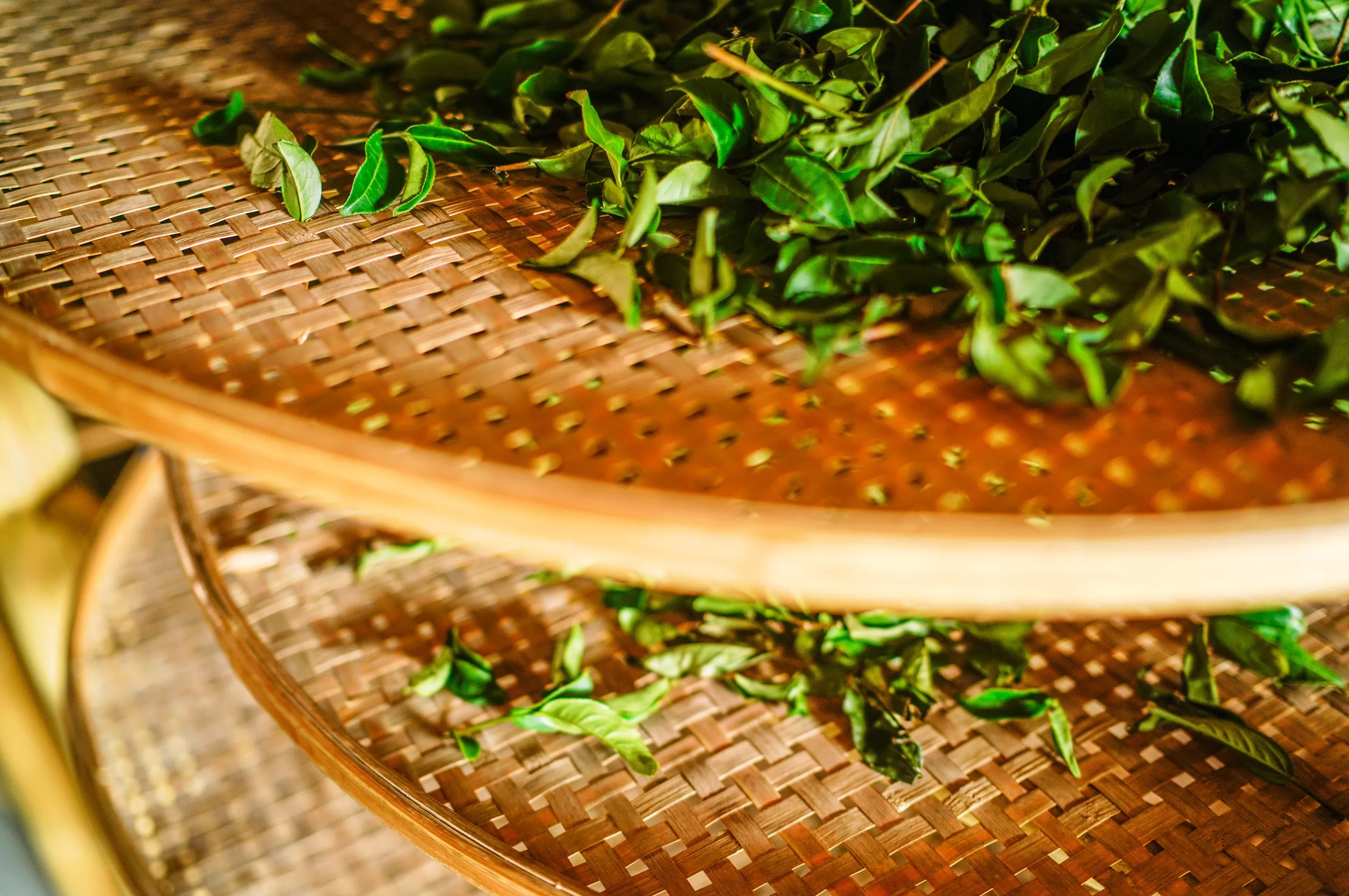 筹备上市的八马茶业发现熟客不够用了-第3张图片-