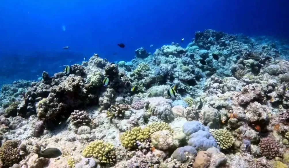 中国在南海行政管理进入新阶段-第3张图片-