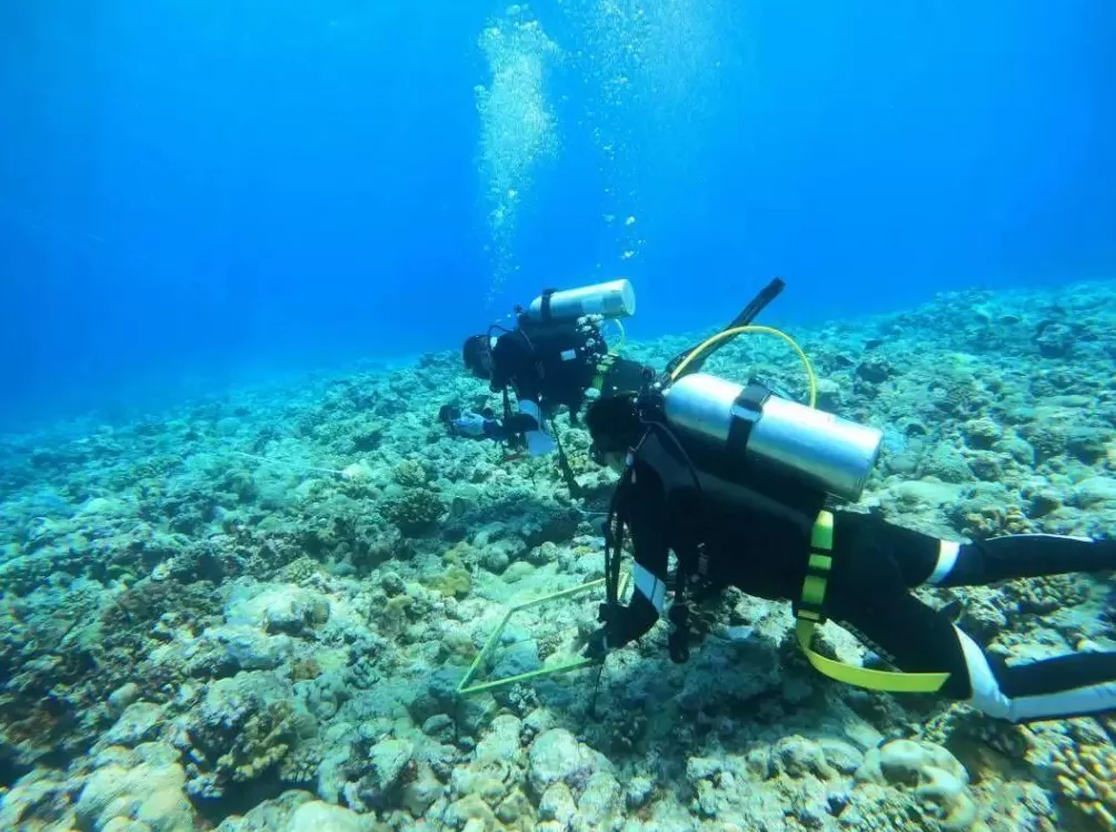 中国在南海行政管理进入新阶段-第5张图片-