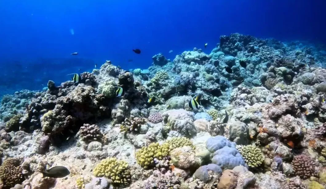 玉渊谭天丨中国在南海行政管理进入新阶段-第3张图片-