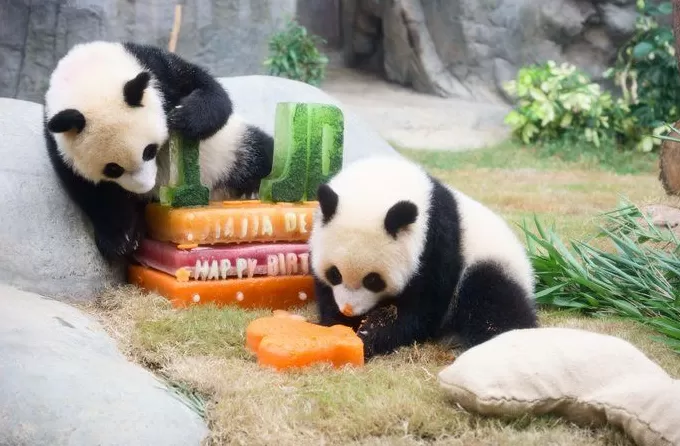 国泰航空北京首都国际机场贵宾室焕新,皇家加勒比打造主题专列 | 一周旅行指南-第6张图片- 国泰航空北京首都国际机场贵宾室焕新,皇家加勒比打造主题专列 | 一周旅行指南-第6张图片-