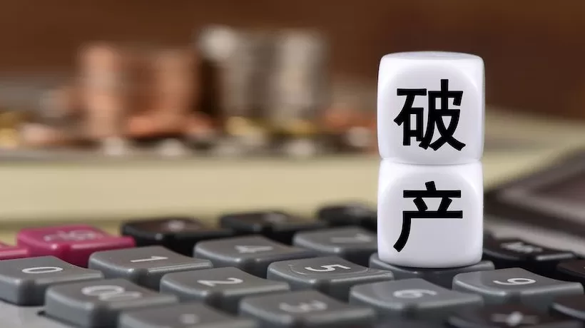 比深圳条例多了“保护”二字,《厦门个人破产保护条例》保护的究竟是什么?-第1张图片- 比深圳条例多了“保护”二字,《厦门个人破产保护条例》保护的究竟是什么?-第1张图片-