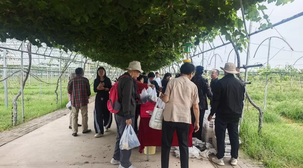 全国主流媒体齐聚礼泉，共探农文旅融合新路径-第1张图片-