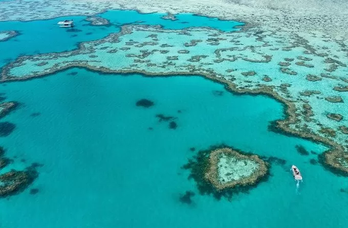 【专访】澳大利亚旅游局全球首席营销官Susan Coghill:与游客建立情感链接,创造终生难忘的旅行-第4张图片- 【专访】澳大利亚旅游局全球首席营销官Susan Coghill:与游客建立情感链接,创造终生难忘的旅行-第4张图片-