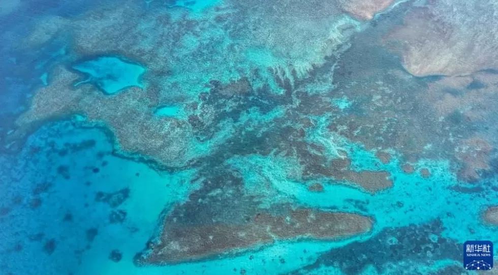 3523公顷的“生态盾牌”！专家解读我们为什么要在黄岩岛设立自然保护区？-第3张图片-