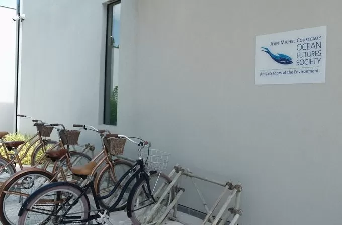 马尔代夫法里群岛丽思卡尔顿酒店推出多项体验，开启夏日海岛之旅 ｜文旅快讯-第11张图片-