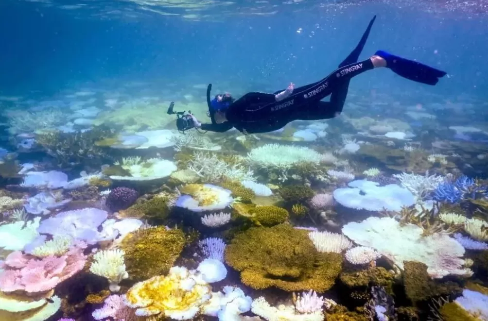 PKU005，半路死去，没能抵达新的家-第10张图片-