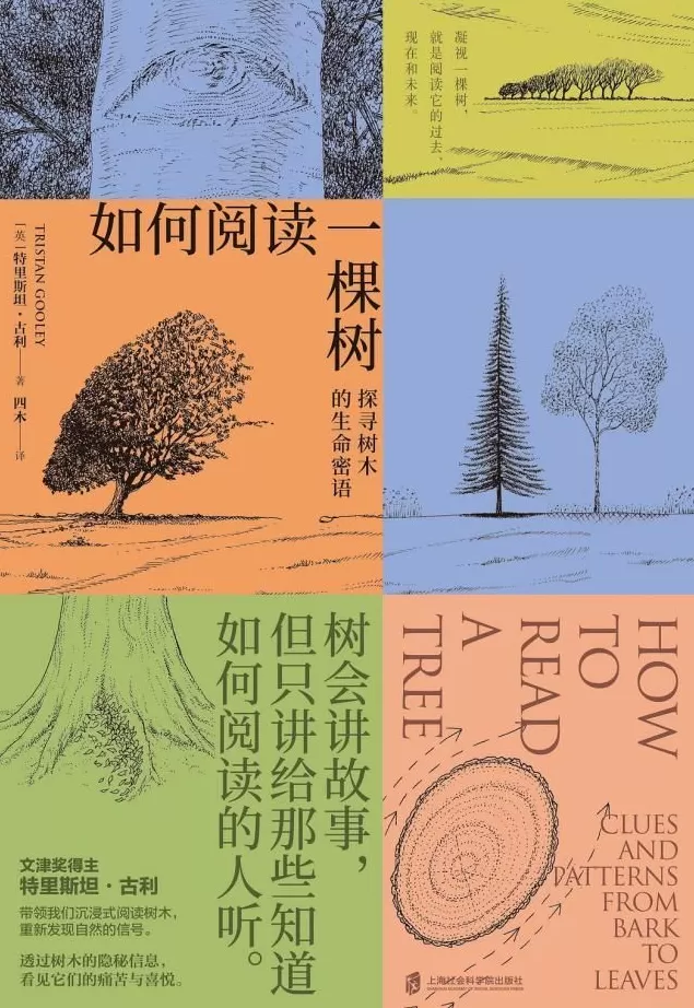 今年的上海书展，这45本书卖得很不错-第15张图片-