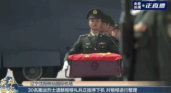 英雄，回家！-第13张图片-