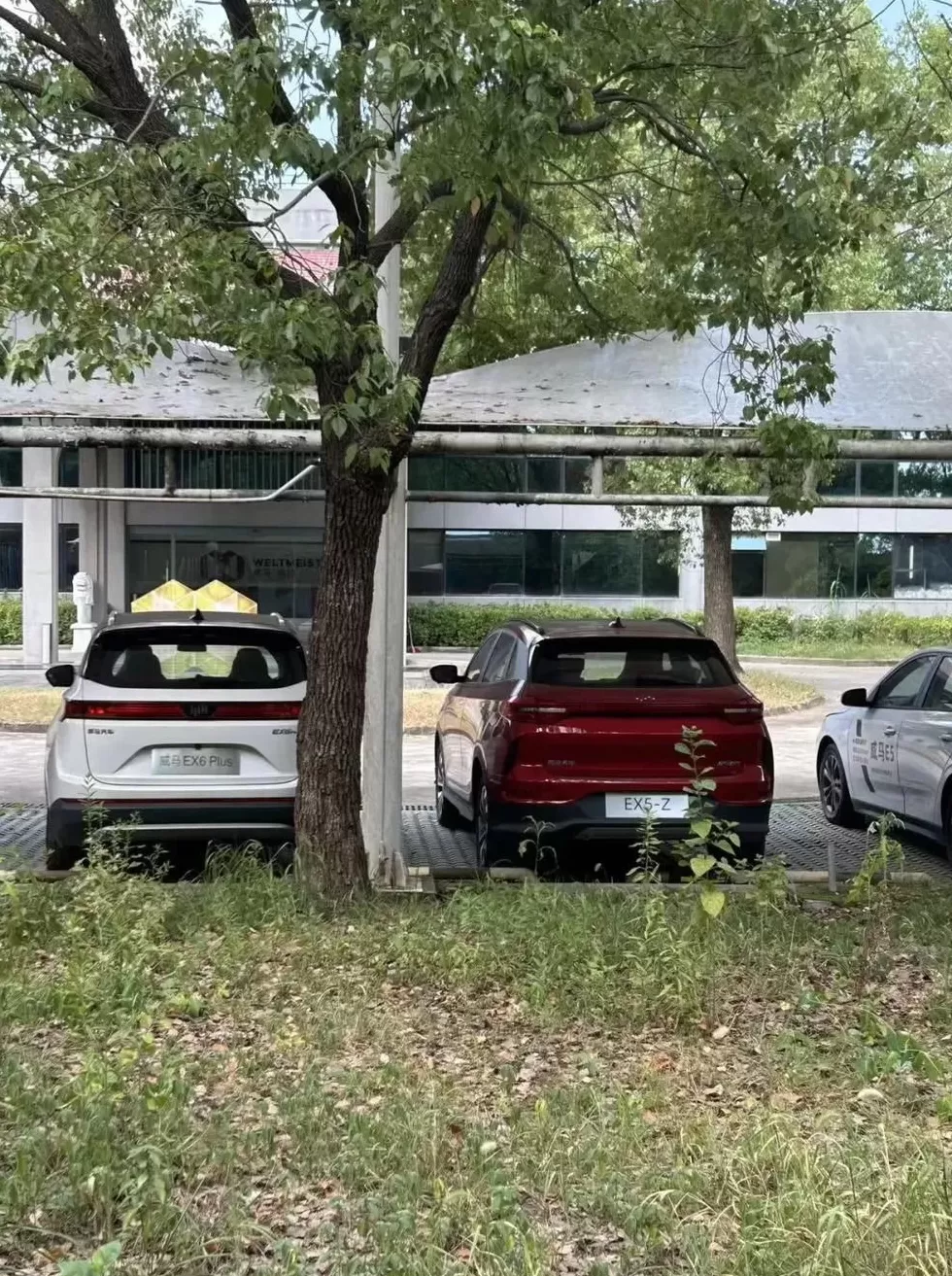 神秘金主出手,威马汽车宣布复活-第4张图片- 神秘金主出手,威马汽车宣布复活-第4张图片-