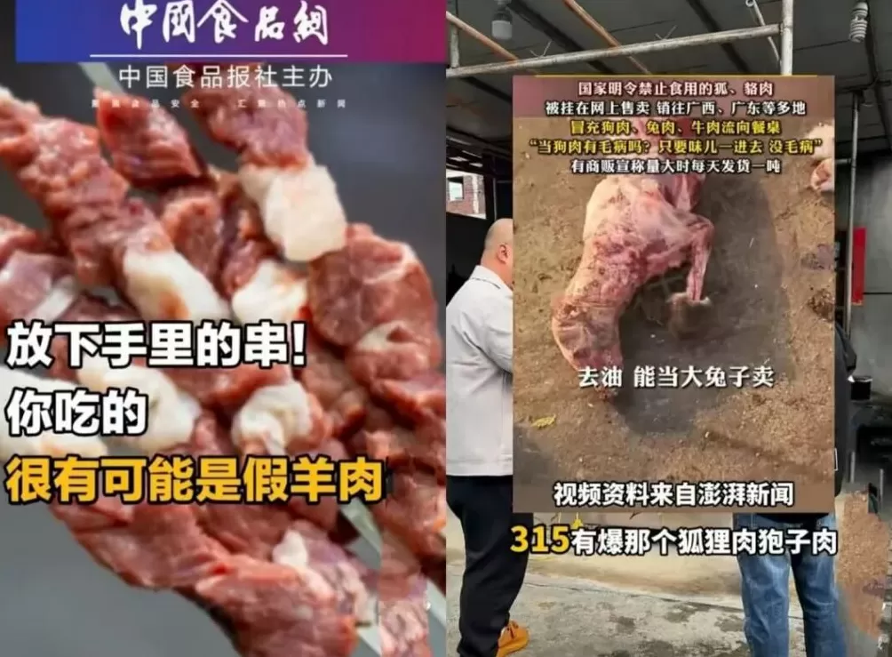 罗永浩这么一闹，更不敢去外面吃饭了-第9张图片-