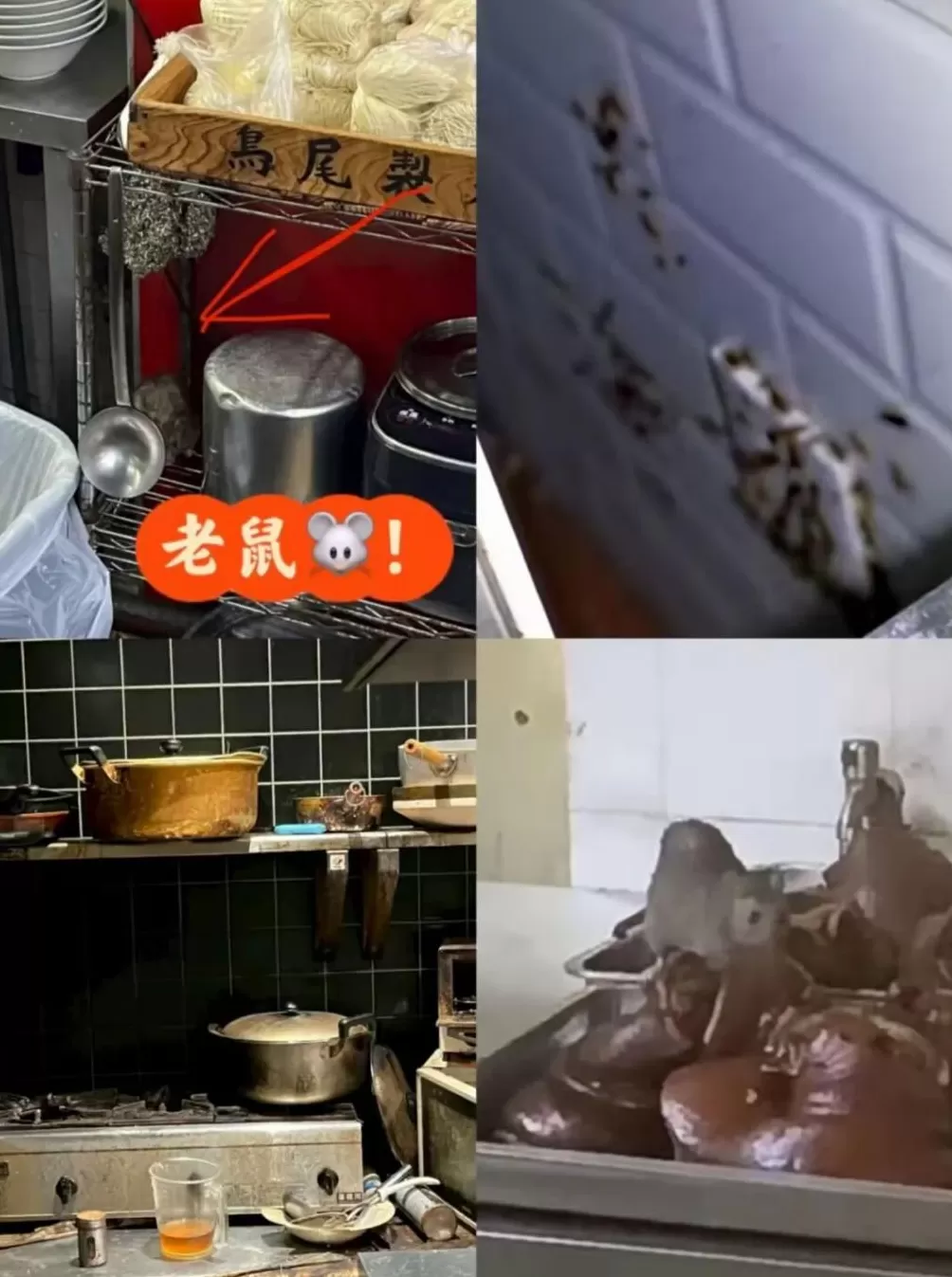 罗永浩这么一闹，更不敢去外面吃饭了-第12张图片-