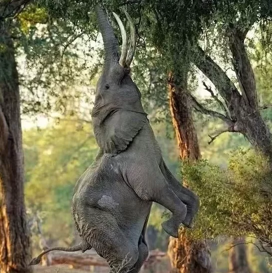 砥砺奋进七十载天山南北谱华章|风生水起的新疆文创-第3张图片-