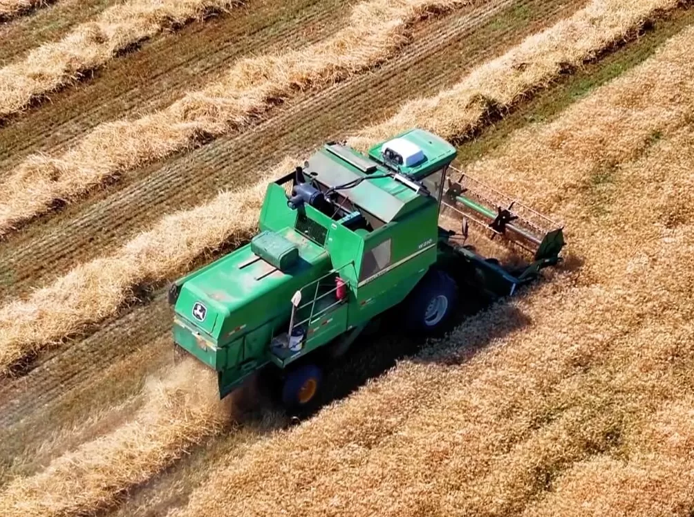 砥砺奋进七十载天山南北谱华章|风生水起的新疆文创-第6张图片-