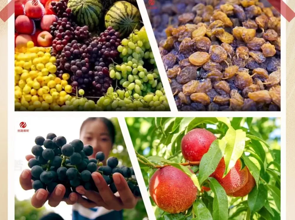 砥砺奋进七十载天山南北谱华章|风生水起的新疆文创-第8张图片-