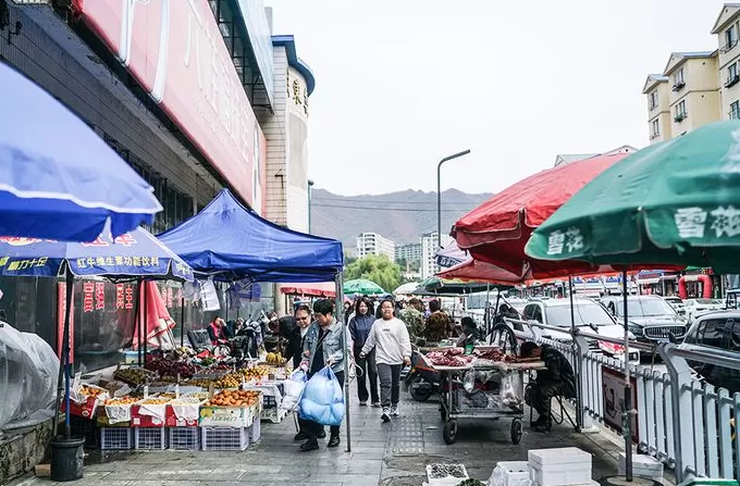 界面人物No.1|“东北雨姐”,极速坠落-第3张图片- 界面人物No.1|“东北雨姐”,极速坠落-第3张图片-