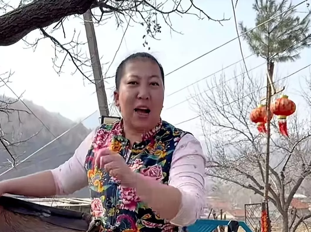 界面人物No.1|“东北雨姐”,极速坠落-第1张图片- 界面人物No.1|“东北雨姐”,极速坠落-第1张图片-