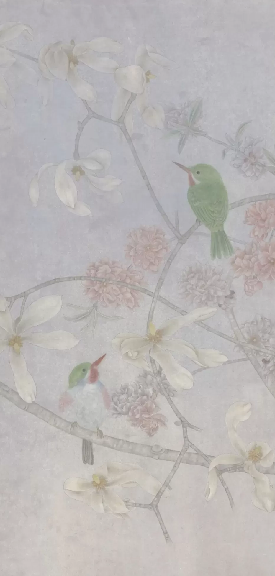 “花儿不会老，鸟儿不会变”-第1张图片-