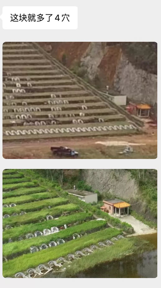 广东陆丰一墓园被查处后疑仍在销售，当地称已在着手处理-第2张图片-