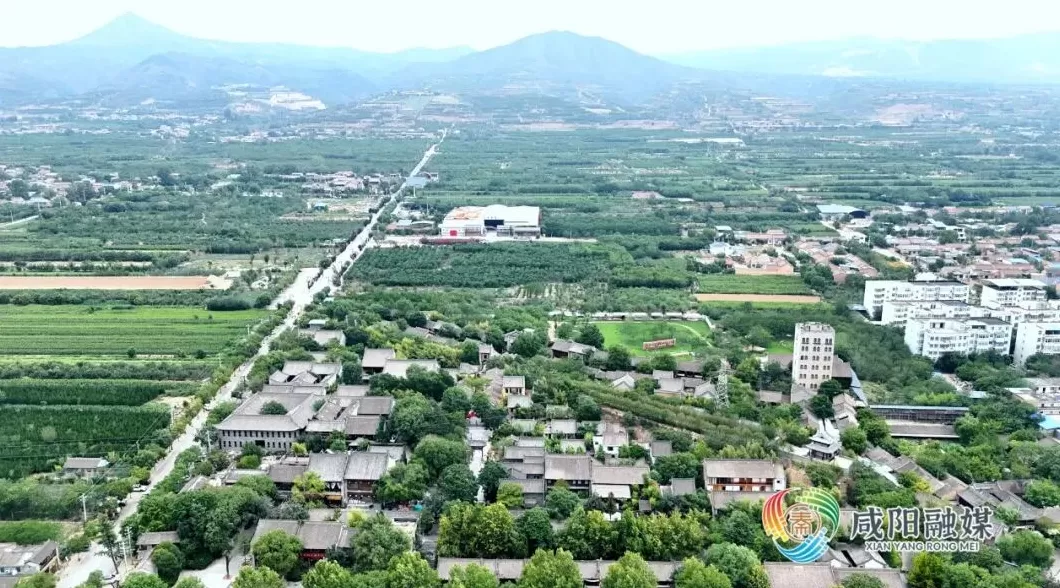 年引游客950万收入12亿，陕西礼泉这个62户小村庄凭啥这么火？-第1张图片-