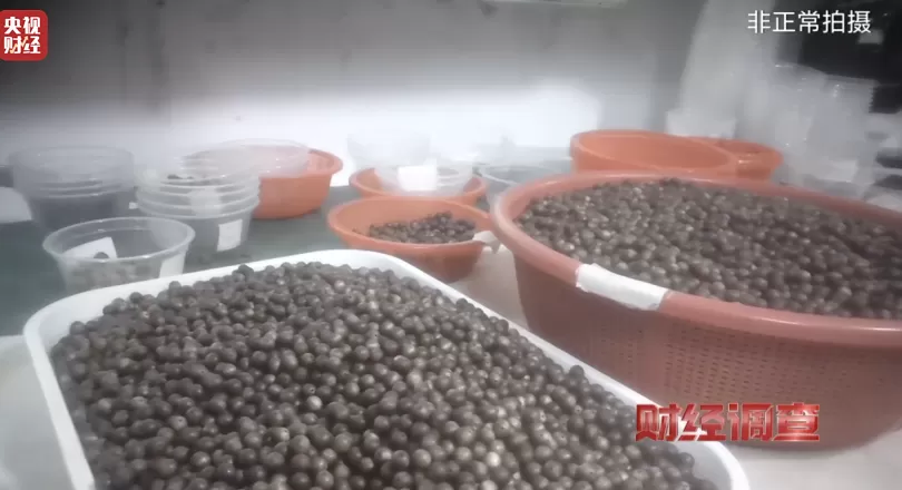 央视调查：你买的手串可能是“科技货”，有商家用注油白木冒充沉香-第14张图片-