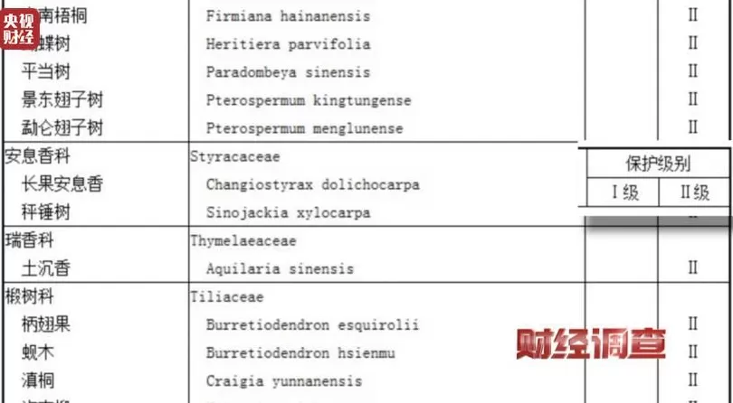你买的沉香可能是“科技与狠活”商家被曝用注油白木冒充沉香-第6张图片- 你买的沉香可能是“科技与狠活”商家被曝用注油白木冒充沉香-第6张图片-