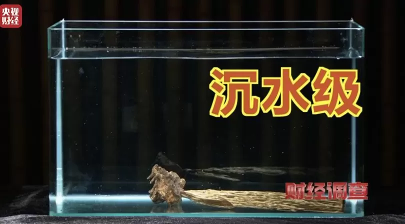 你买的沉香可能是“科技与狠活”商家被曝用注油白木冒充沉香-第9张图片- 你买的沉香可能是“科技与狠活”商家被曝用注油白木冒充沉香-第9张图片-