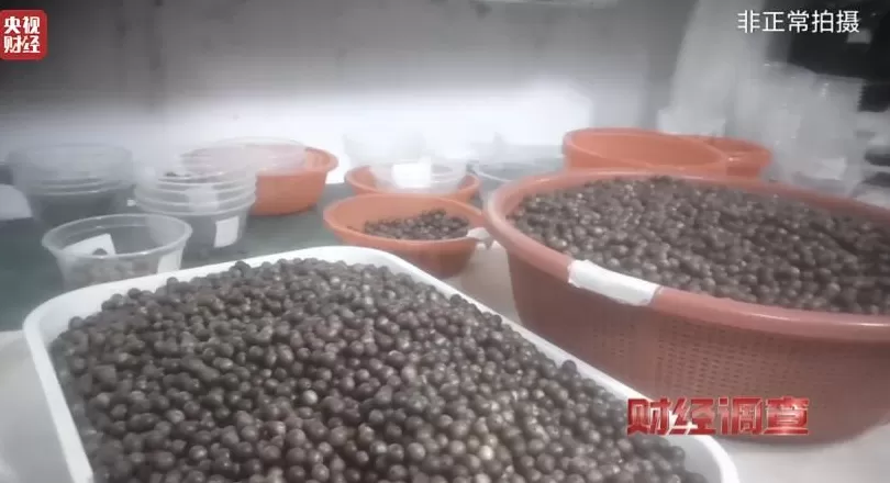 你买的沉香可能是“科技与狠活”商家被曝用注油白木冒充沉香-第14张图片- 你买的沉香可能是“科技与狠活”商家被曝用注油白木冒充沉香-第14张图片-