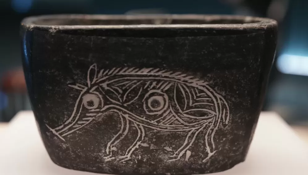 一周展讯|永恒的微笑-第29张图片- 一周展讯|永恒的微笑-第29张图片-